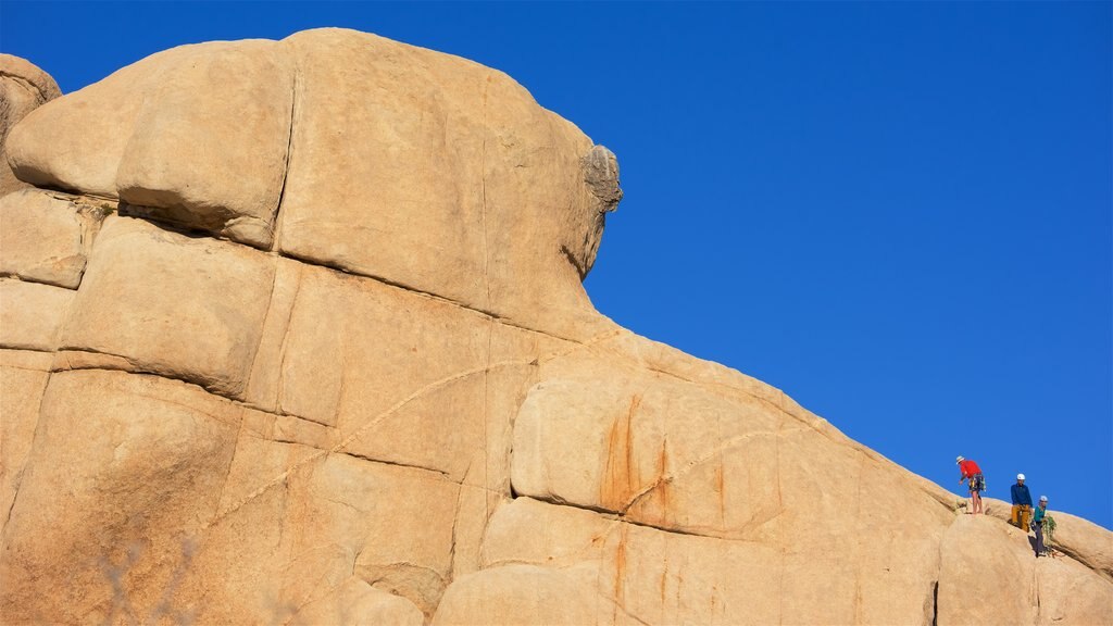 Intersection Rock showing climbing and a gorge or canyon as well as a small group of people