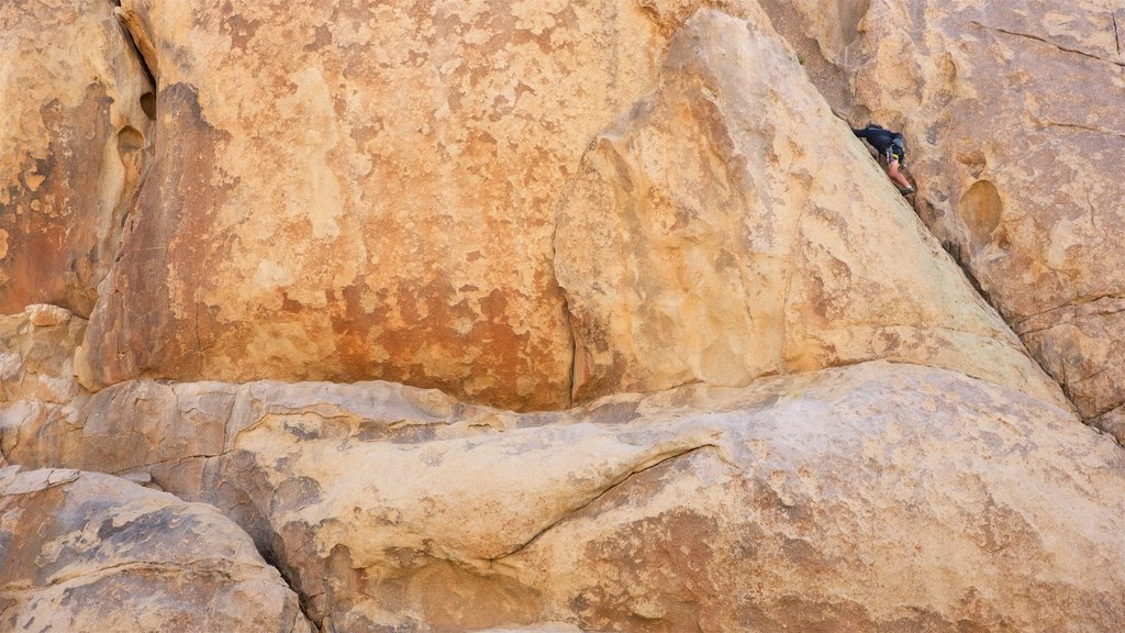 Intersection Rock featuring climbing and a gorge or canyon