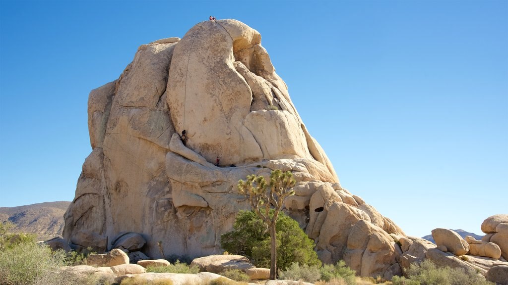 Intersection Rock mit einem Schlucht oder Canyon