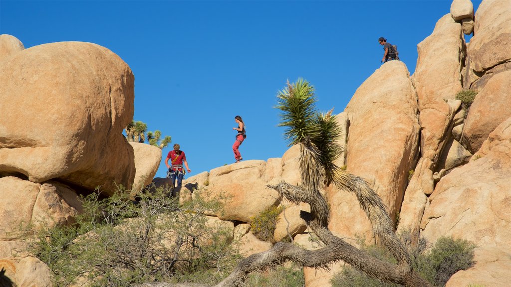 Intersection Rock que inclui um desfiladeiro ou canyon e escalada ou caminhada assim como um pequeno grupo de pessoas