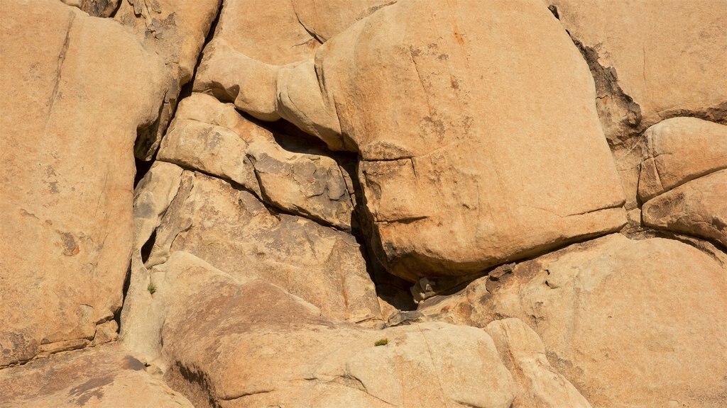 Intersection Rock which includes a gorge or canyon