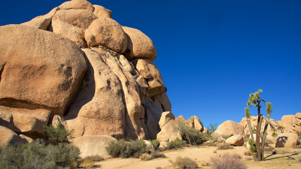 Intersection Rock which includes a gorge or canyon and desert views