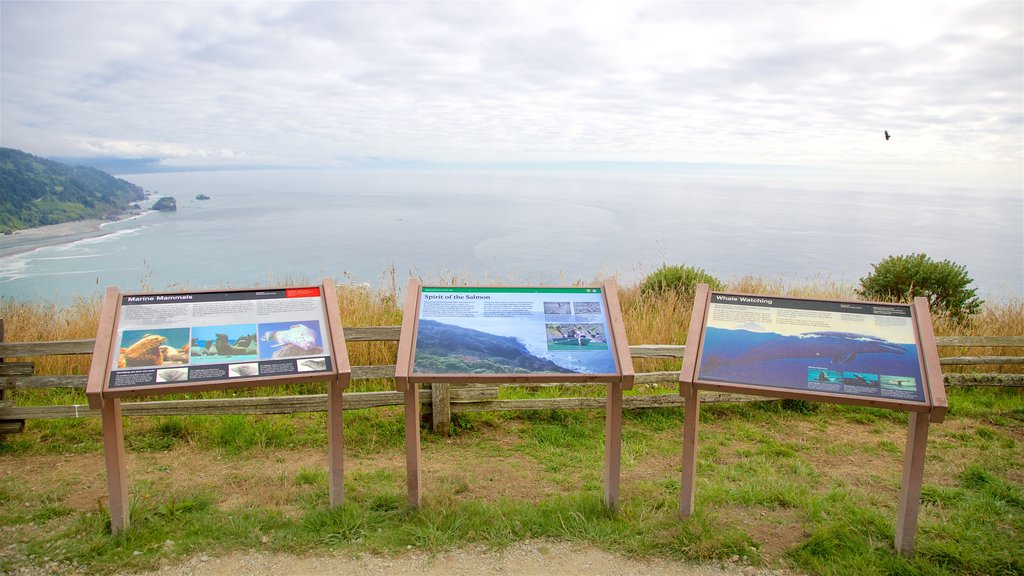 Mirador del río Klamath mostrando vistas generales de la costa y señalización