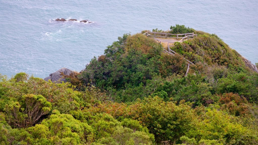 Klamath River Overlook showing general coastal views