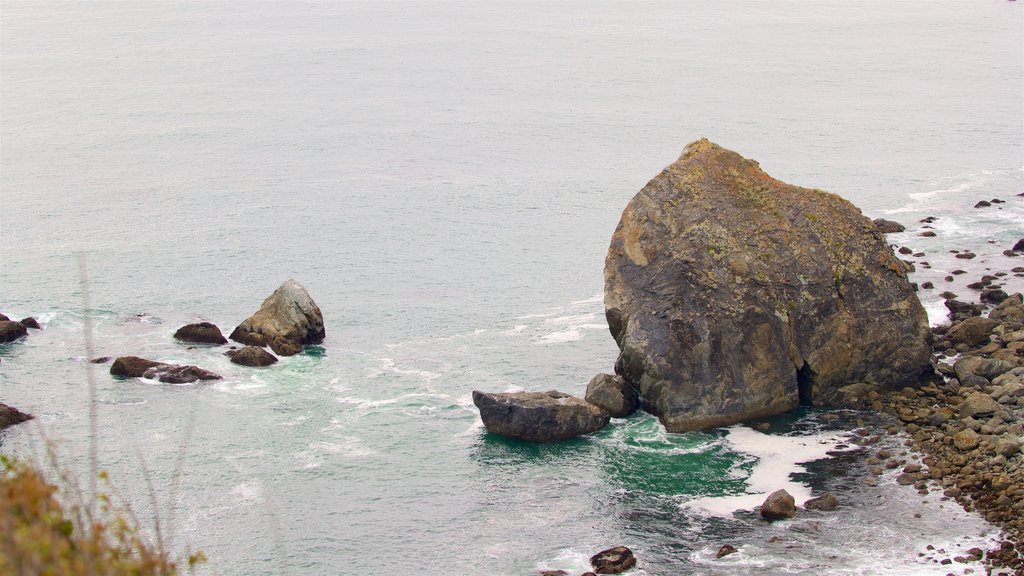 Point d’observation Klamath River Overlook qui includes côte escarpée et paysages côtiers