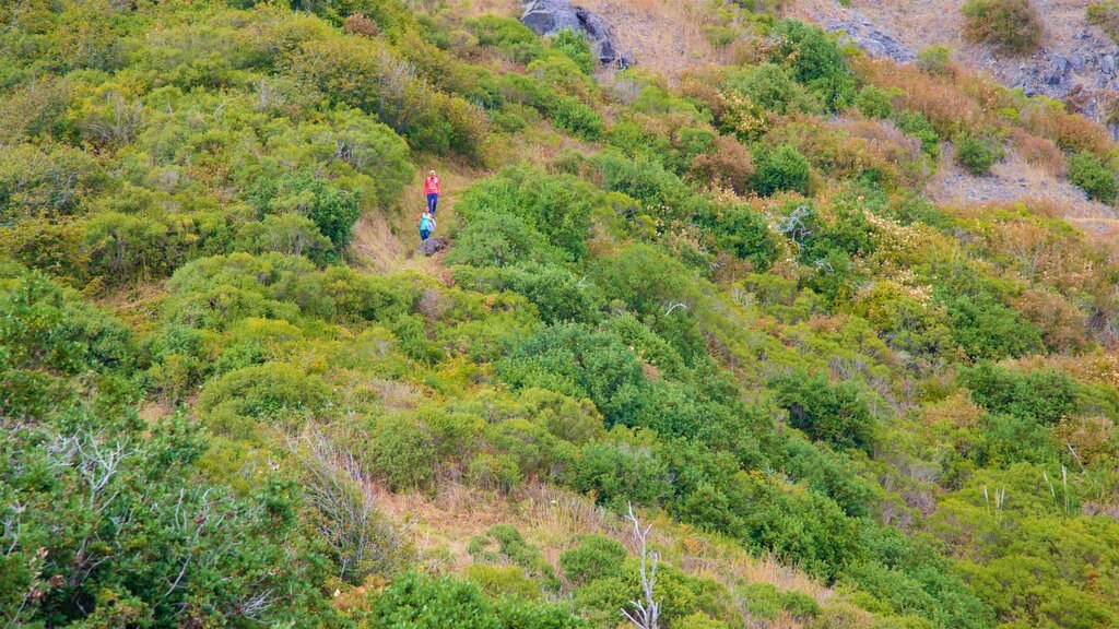 Mirador del río Klamath ofreciendo escenas tranquilas y senderismo o caminata y también una pareja