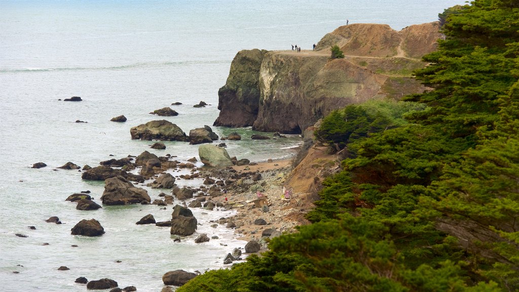 Coastal Trail showing general coastal views and rugged coastline