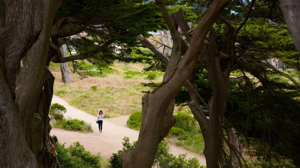 Land\'s End Trail que inclui um parque assim como uma mulher sozinha