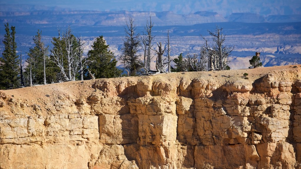 Bristlecone Loop showing a gorge or canyon and landscape views