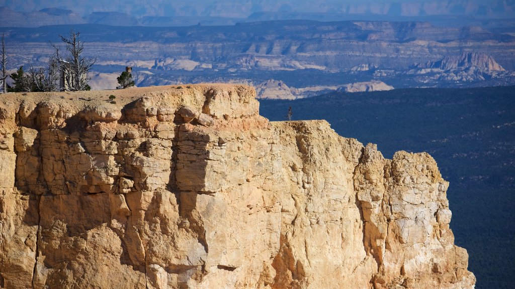 Bristlecone Loop inclusief rotsachtige kustlijn en landschappen