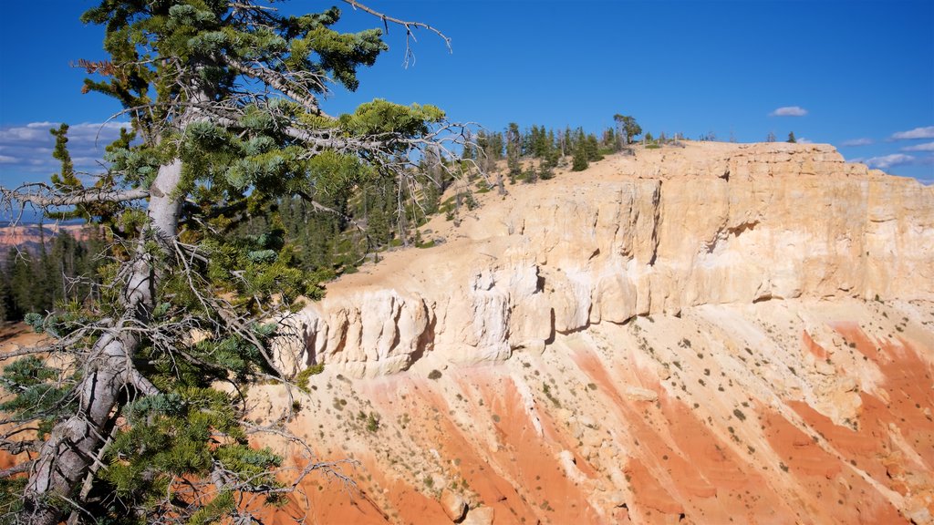 Bristlecone Loop montrant gorge ou canyon