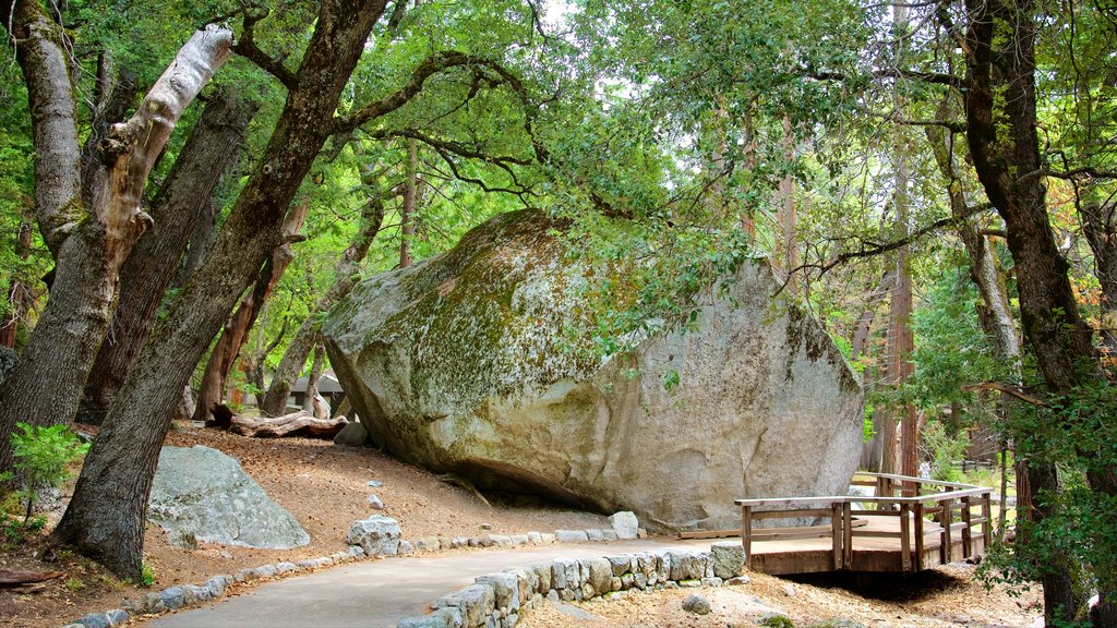 Lower Yosemite Falls which includes forests, a garden and a bridge