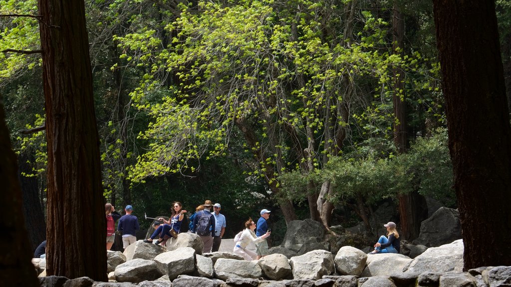 Partie inférieure des chutes de Yosemite qui includes jardin aussi bien que petit groupe de personnes