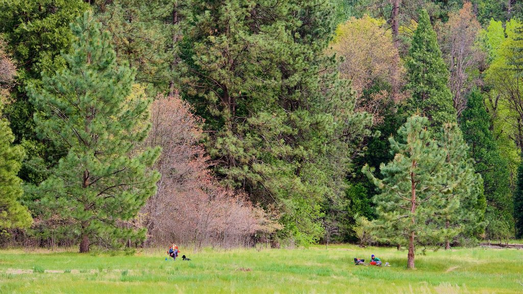 El Capitan Meadow que inclui um jardim