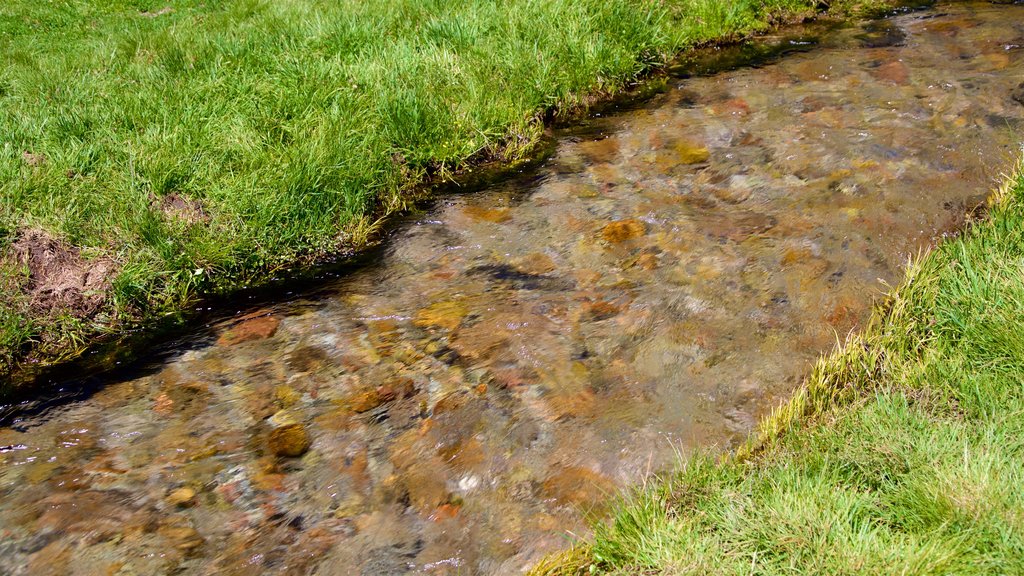 Upper Meadow featuring a river or creek