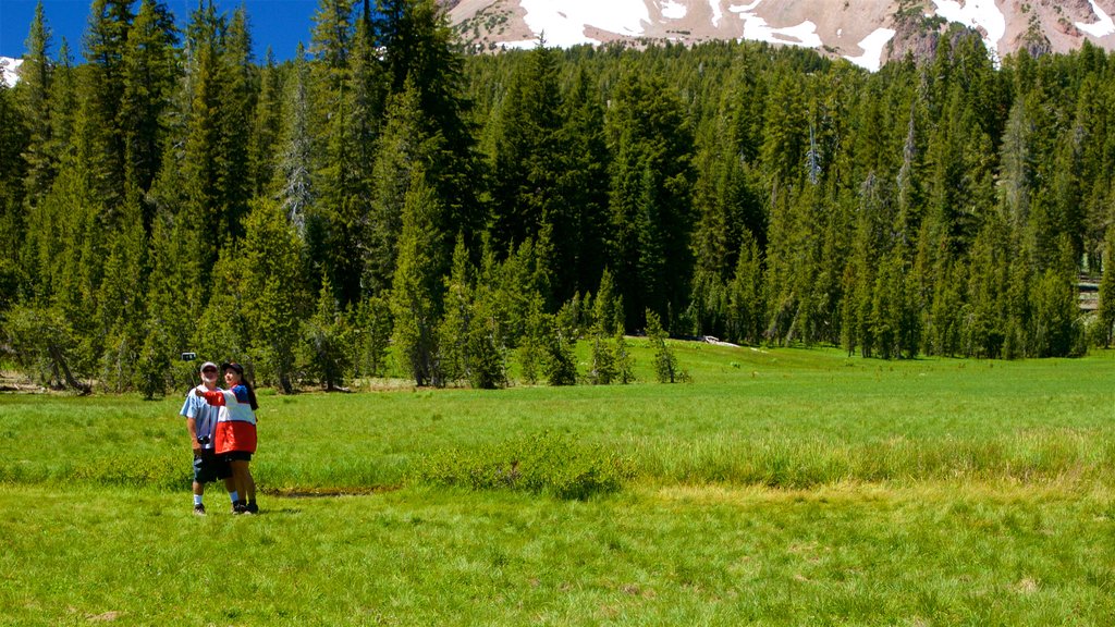 Campo Upper Meadow que incluye escenas tranquilas y también una pareja