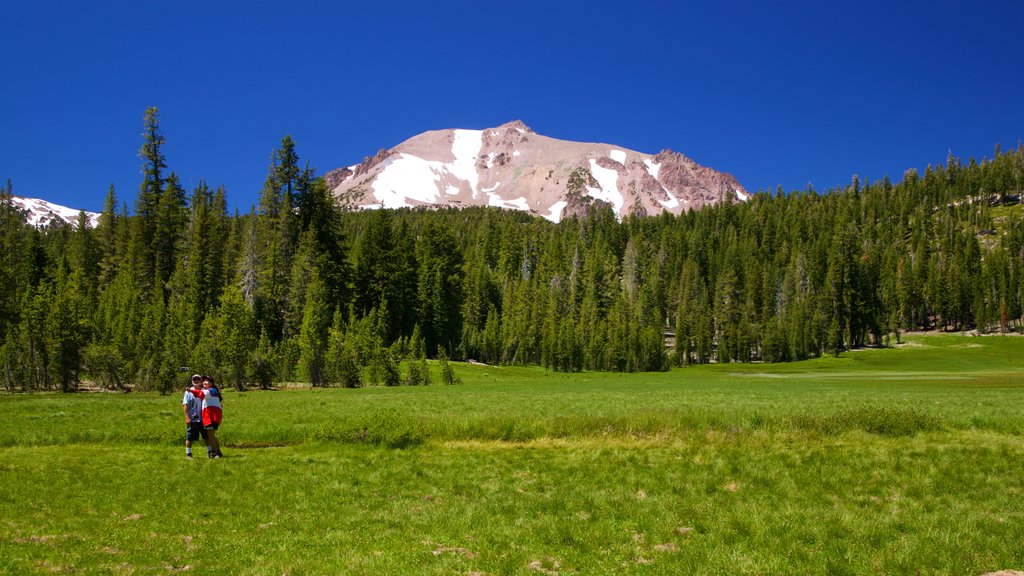 Upper Meadow showing tranquil scenes as well as a couple