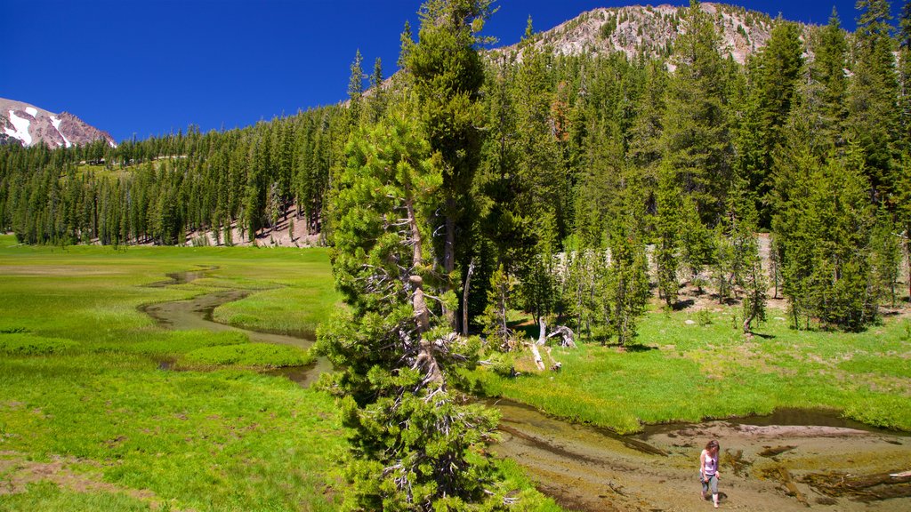 Upper Meadow mostrando cenas tranquilas e um rio ou córrego assim como uma mulher sozinha