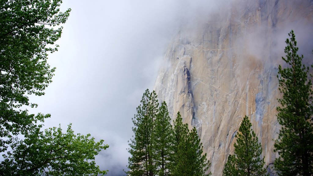 Cathedral Beach Picnic Area featuring mist or fog and mountains