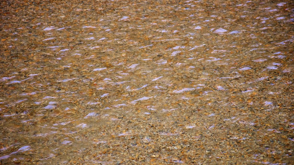 Área para piqueniques de Cathedral Beach