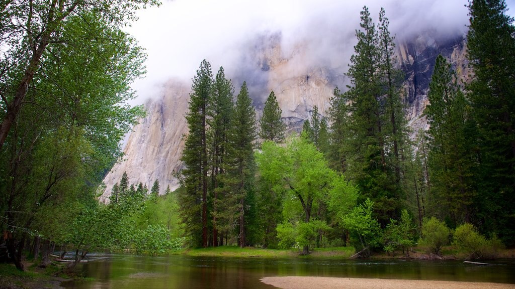 Cathedral Beach Picnic Area showing mist or fog and a lake or waterhole