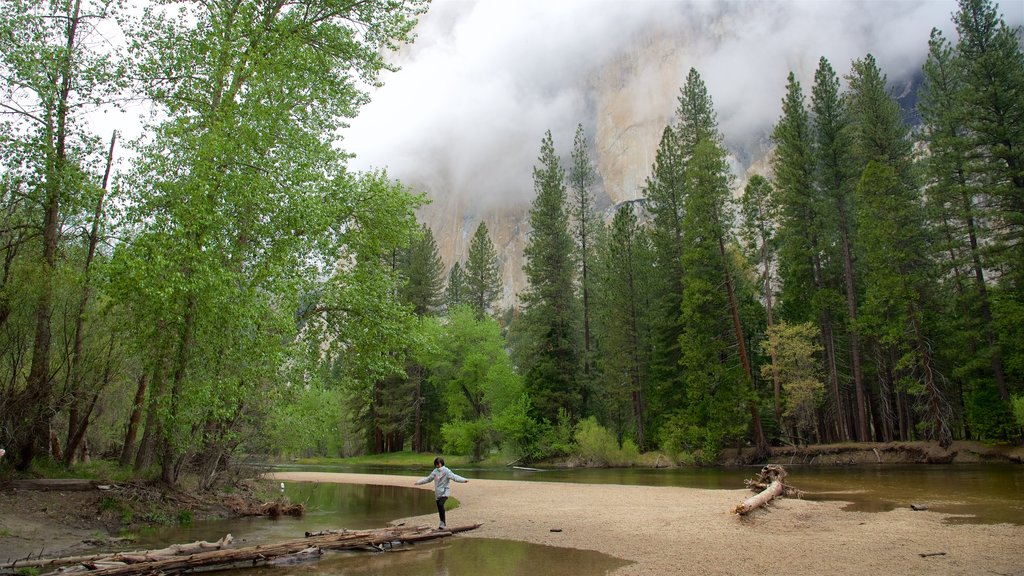 Cathedral Beach Picnic Area which includes mist or fog and a lake or waterhole as well as an individual femail