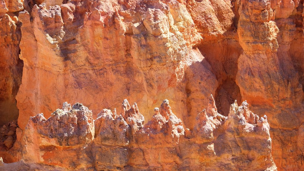 Agua Canyon featuring a gorge or canyon