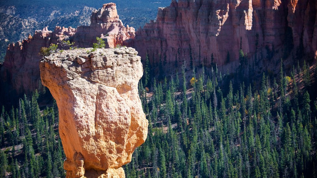 Agua Canyon showing tranquil scenes and a gorge or canyon