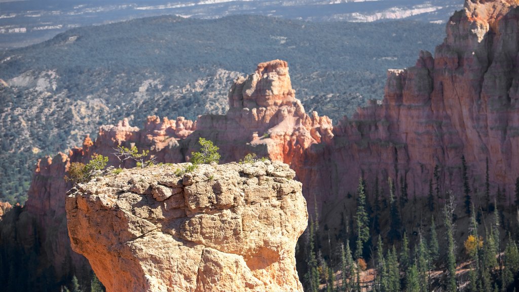 Agua Canyon showing a gorge or canyon and tranquil scenes