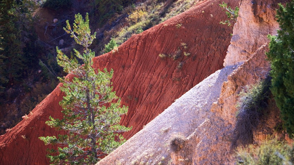 Agua Canyon bevat vredige uitzichten