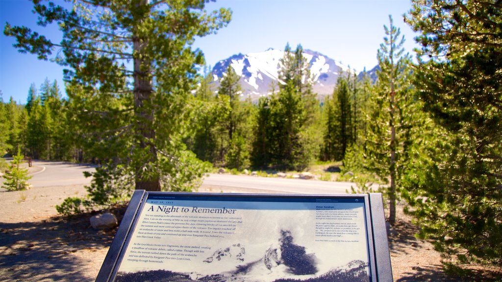 Devastated Area featuring tranquil scenes and signage