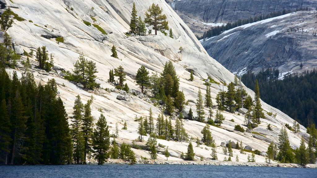 Lago Tenaya mostrando montañas, un lago o abrevadero y nieve