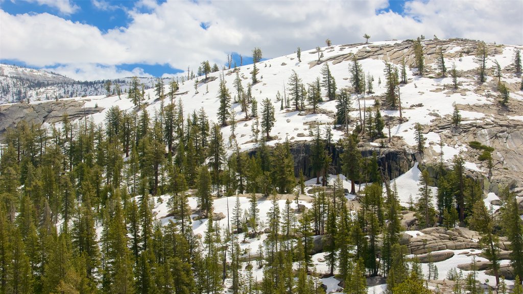 Lago Tenaya ofreciendo montañas y nieve