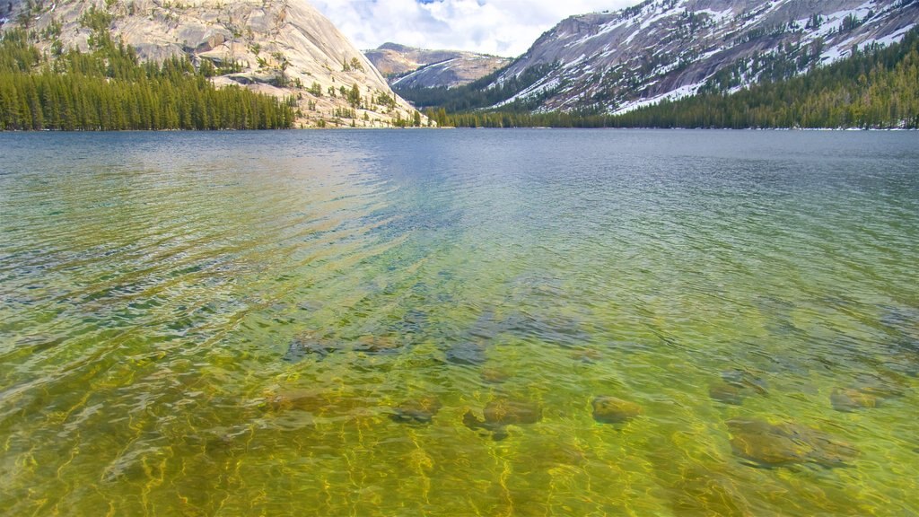 Tenaya Lake som omfatter en sø eller et vandhul