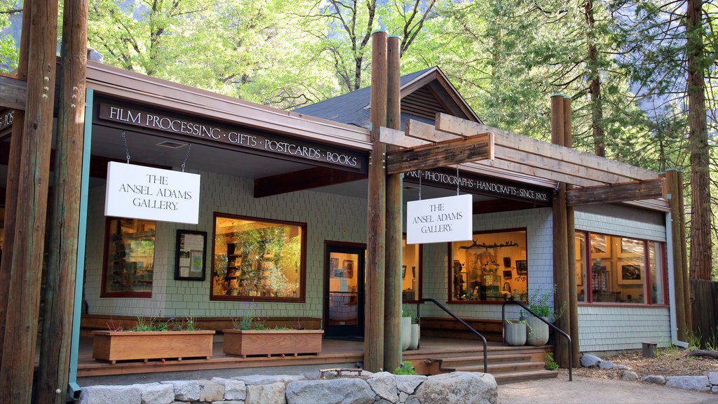 Ansel Adams Gallery featuring a small town or village and signage