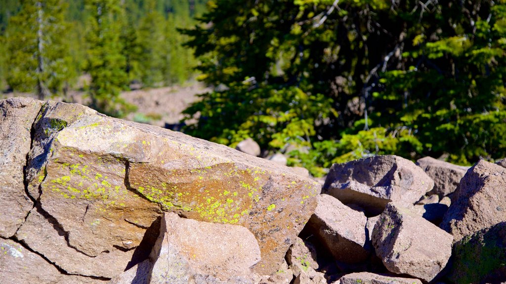 Chaos Crags and Jumbles og byder på fredfyldte omgivelser