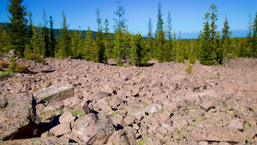 Chaos Crags and Jumbles showing tranquil scenes