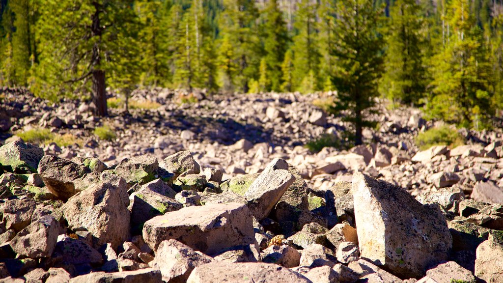 Parc naturel Chaos Crags and Jumbles montrant scènes tranquilles