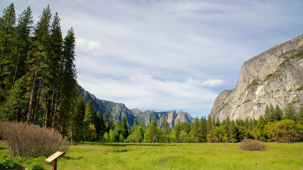 Sendero de Cook\'s Meadow mostrando una garganta o cañón y escenas tranquilas