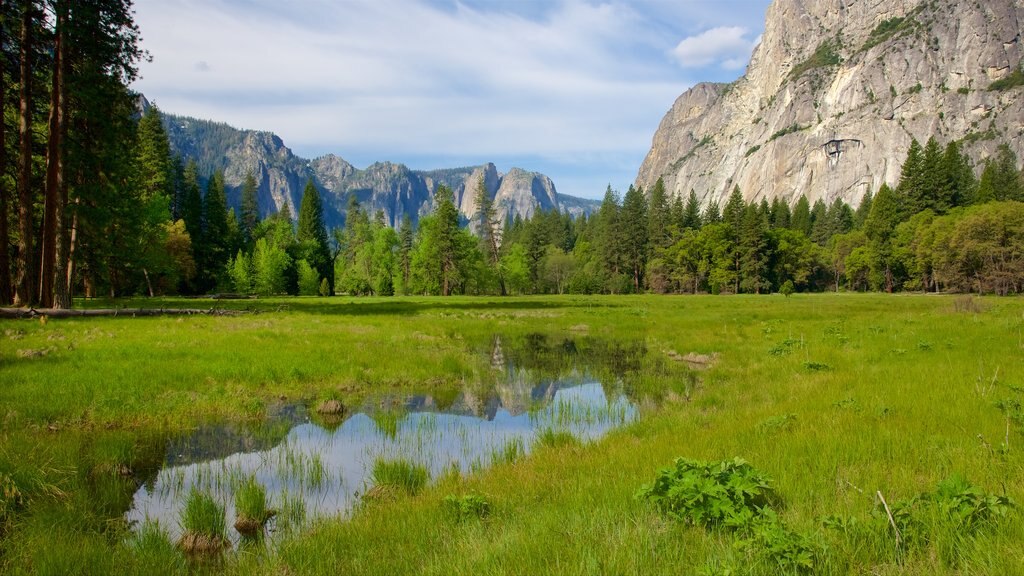 Cook\'s Meadow which includes a pond, tranquil scenes and a gorge or canyon