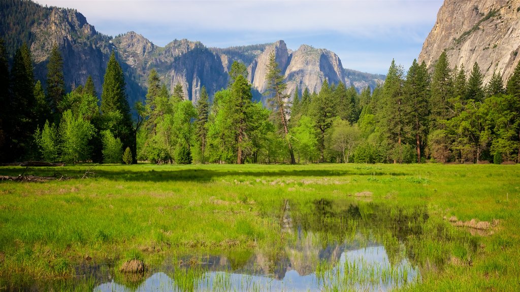 Cook\'s Meadow showing a gorge or canyon, tranquil scenes and a pond