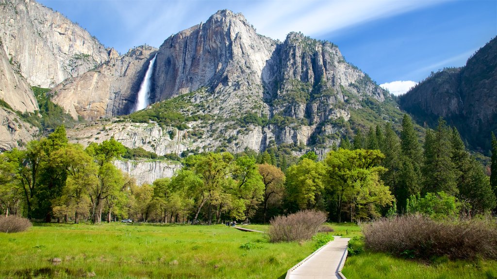 Sendero de Cook\'s Meadow mostrando escenas tranquilas, montañas y una cascada