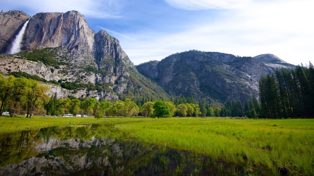 Cook\'s Meadow which includes tranquil scenes, a cascade and mountains