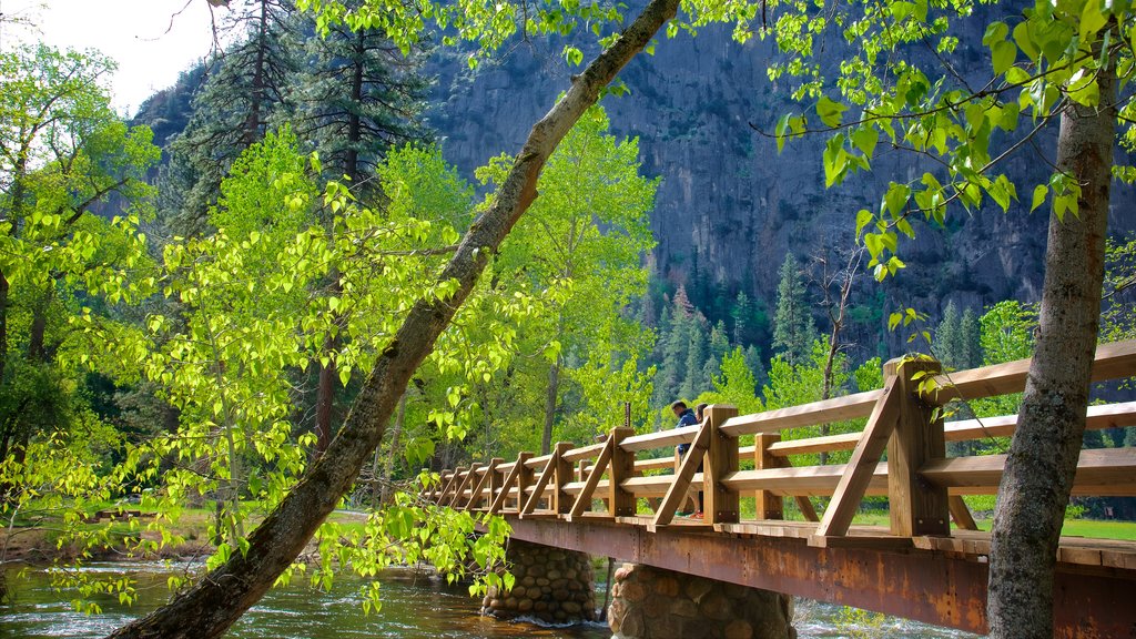 Cook\'s Meadow showing a garden, a river or creek and a bridge