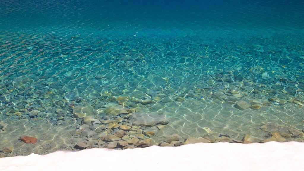 Lake Helen showing tropical scenes and a lake or waterhole