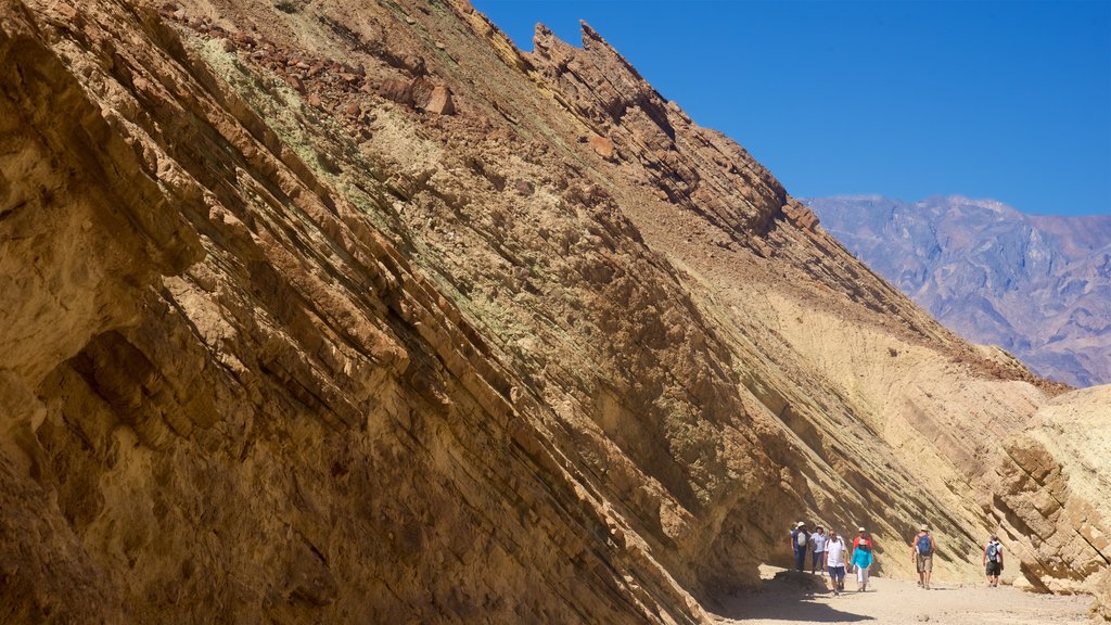 Golden Canyon which includes a gorge or canyon and hiking or walking as well as a small group of people