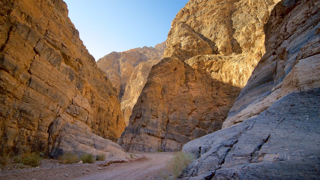 Valle Titus Canyon que incluye una garganta o cañón