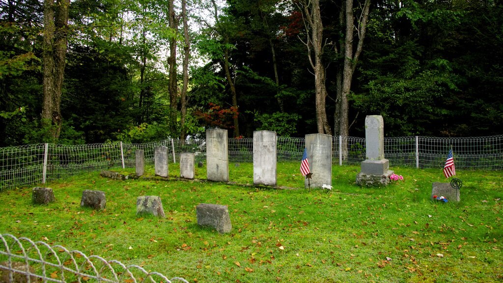 Bennett Bridge showing a cemetery