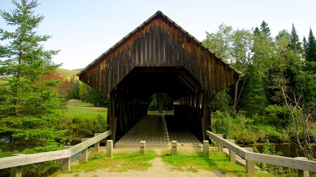 Bennett Bridge showing heritage elements and a bridge