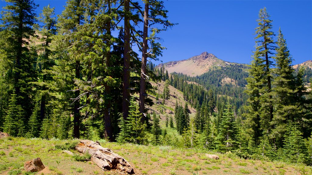 Kohm Yah-mah-nee Visitor Center which includes tranquil scenes